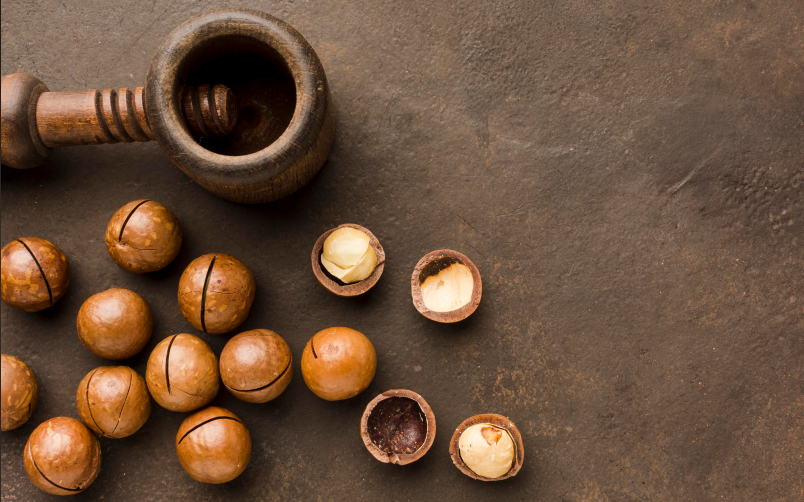 Inspect and Sort Macadamia Nuts Effectively